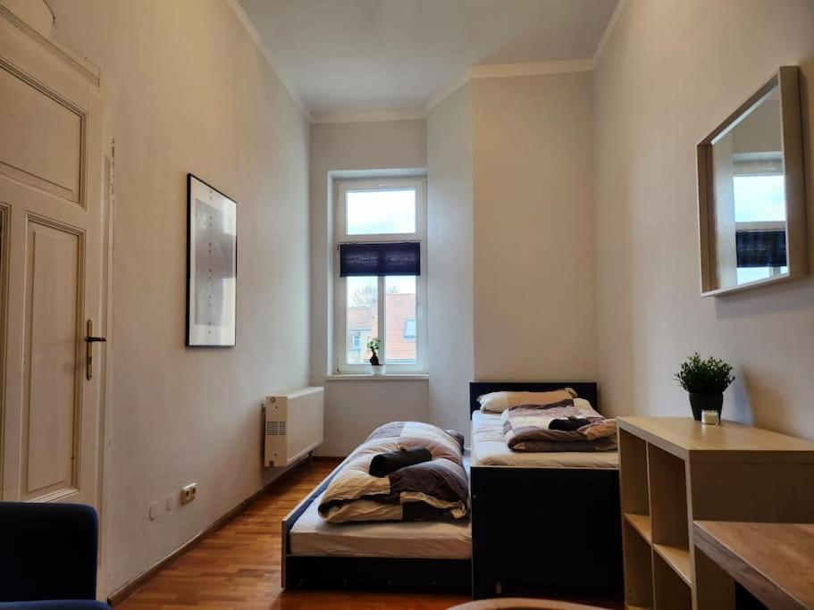 4 Raum Wohnung Mit Balkon Auf 120Sqm In Top Lage Dresden Eksteriør billede